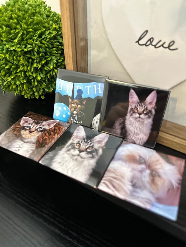 Cat photo magnets on a table